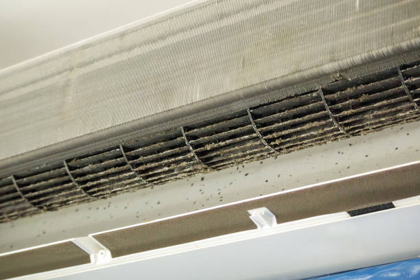 Best Residential Air Duct Cleaning  in Oro Valley, AZ